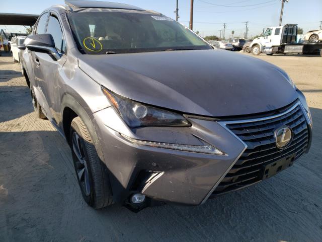 LEXUS NX 2020 jtjgarbz7l5001470