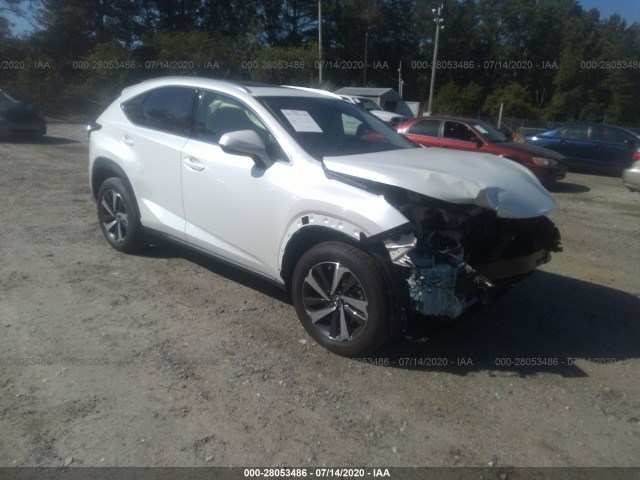 LEXUS NX 2020 jtjgarbz7l5016714