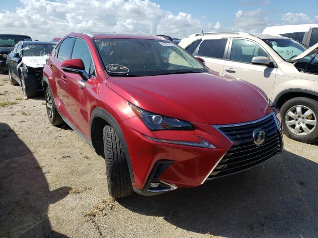 LEXUS NX 300 BAS 2021 jtjgarbz7m5027875