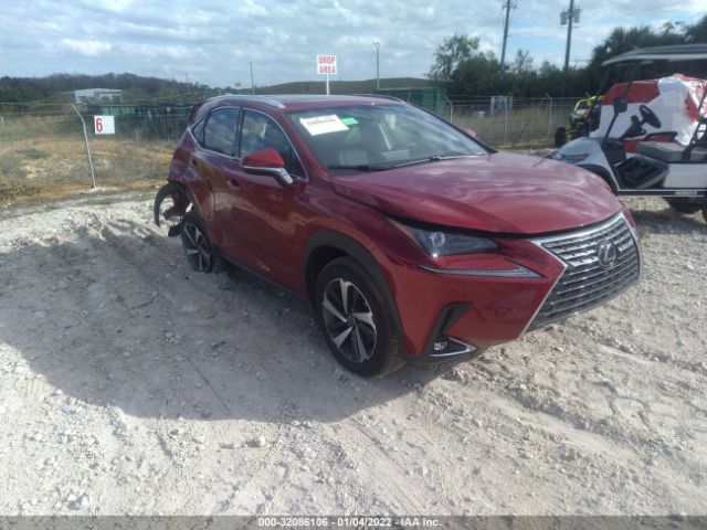 LEXUS NX 2021 jtjgarbz7m5029206