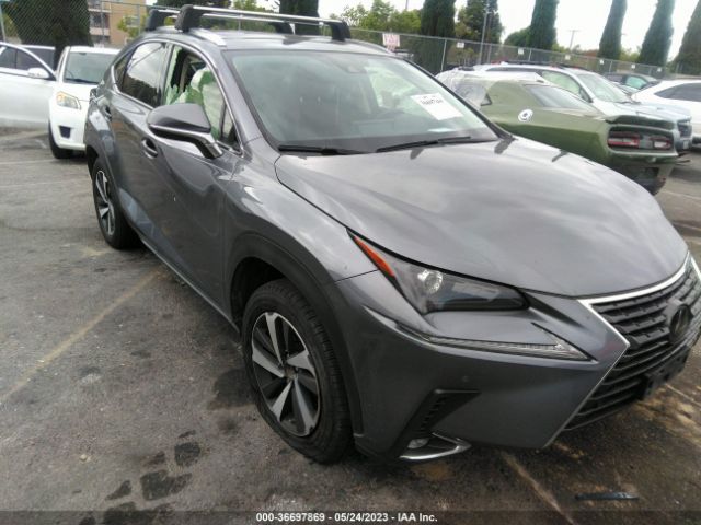 LEXUS NX 2020 jtjgarbz8l2174271