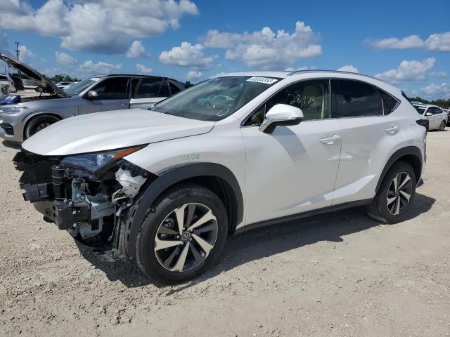 LEXUS NX 300 2020 jtjgarbz8l5012347