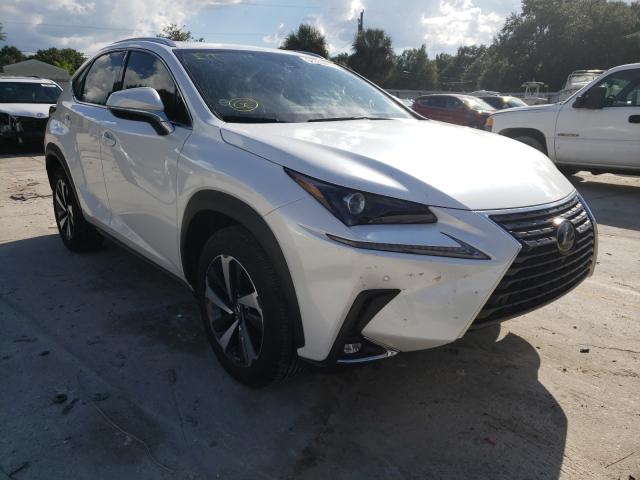 LEXUS NX 300 2020 jtjgarbz9l2177325