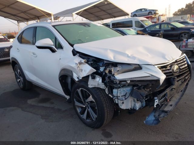 LEXUS NX 300 2021 jtjgarbz9m5027196