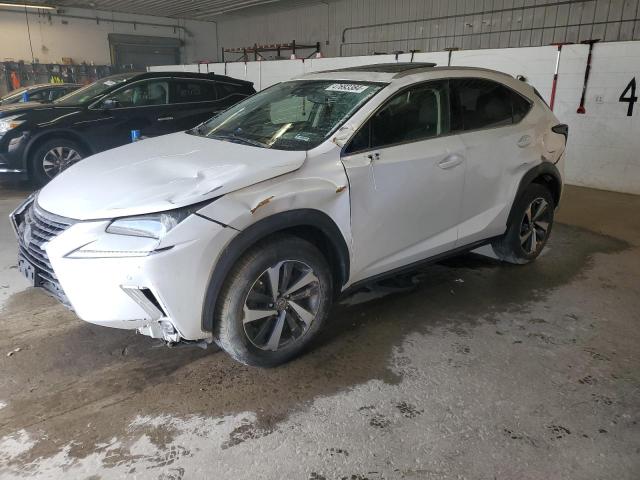 LEXUS NX 2021 jtjgardz0m5019601