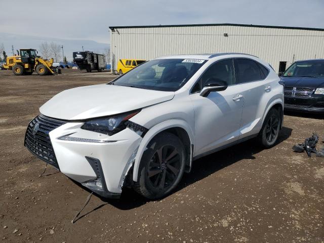 LEXUS NX 2020 jtjgardz1l2230189