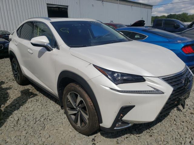 LEXUS NX 300 2020 jtjgardz1l5003566