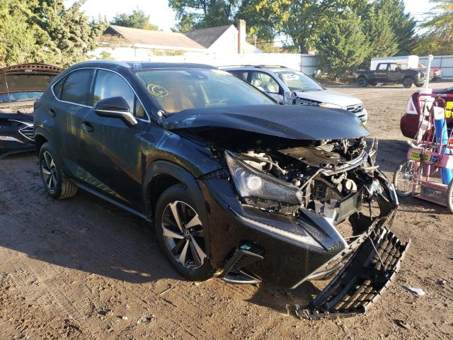 LEXUS NX 300 2020 jtjgardz1l5015331