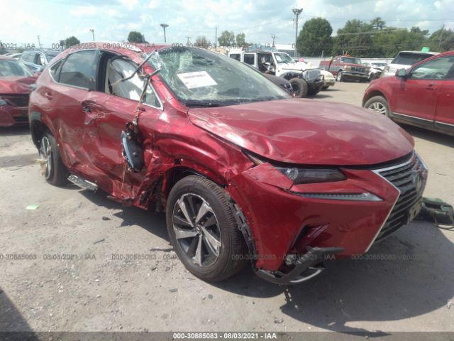 LEXUS NX 2021 jtjgardz1m5025083