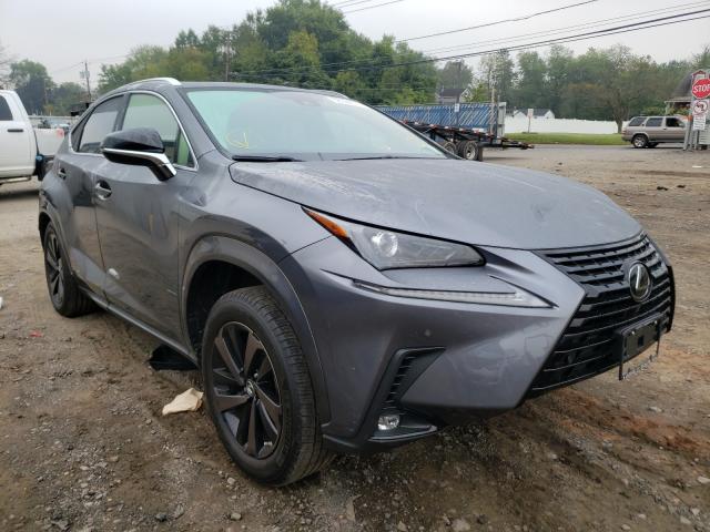 LEXUS NX 300 2020 jtjgardz2l2228158