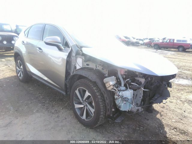 LEXUS NX 2021 jtjgardz2m2243406