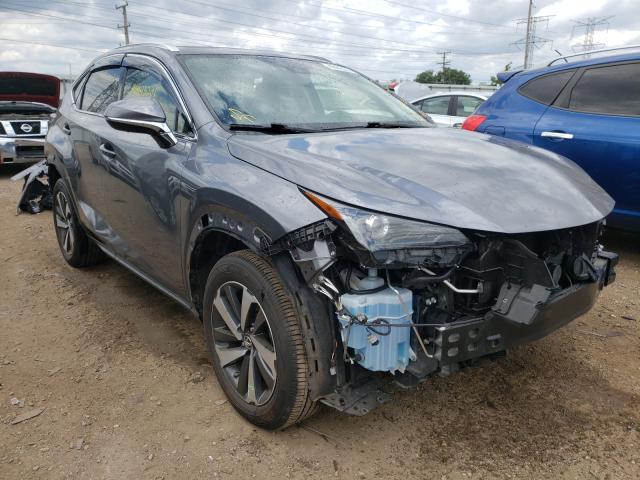 LEXUS NX 300 2019 jtjgardz3l2222966