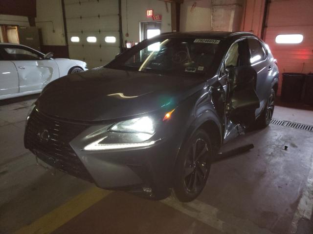 LEXUS NX 300 2019 jtjgardz3l2227780