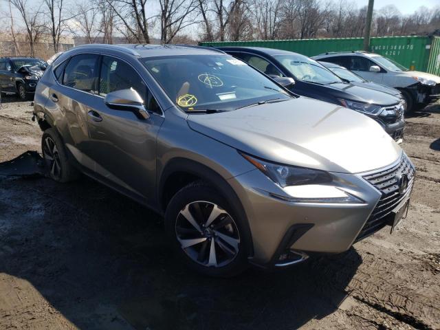 LEXUS NX 300 BAS 2021 jtjgardz3m2238778