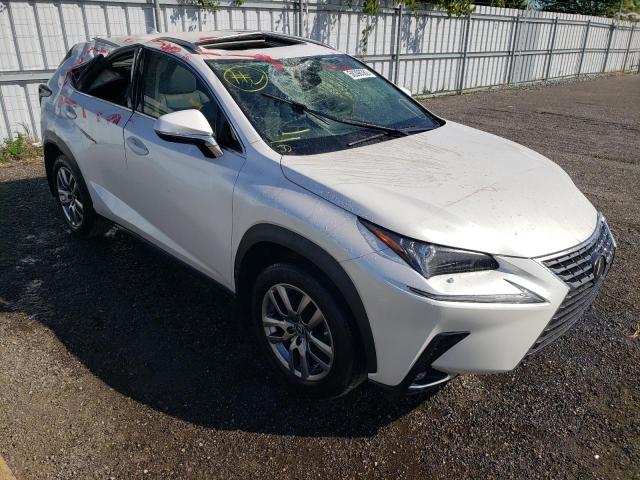 LEXUS NX 300 2021 jtjgardz3m5026431