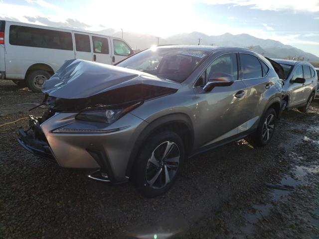 LEXUS NX 2021 jtjgardz3m5028213