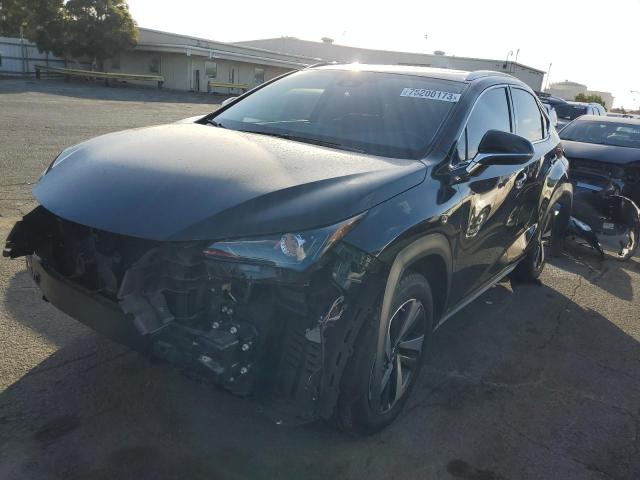 LEXUS NX 2020 jtjgardz4l2222782