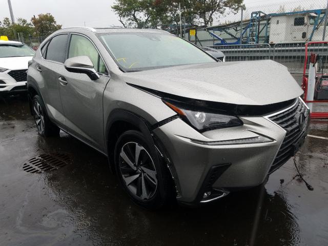 LEXUS NX 300 2020 jtjgardz4l2223155