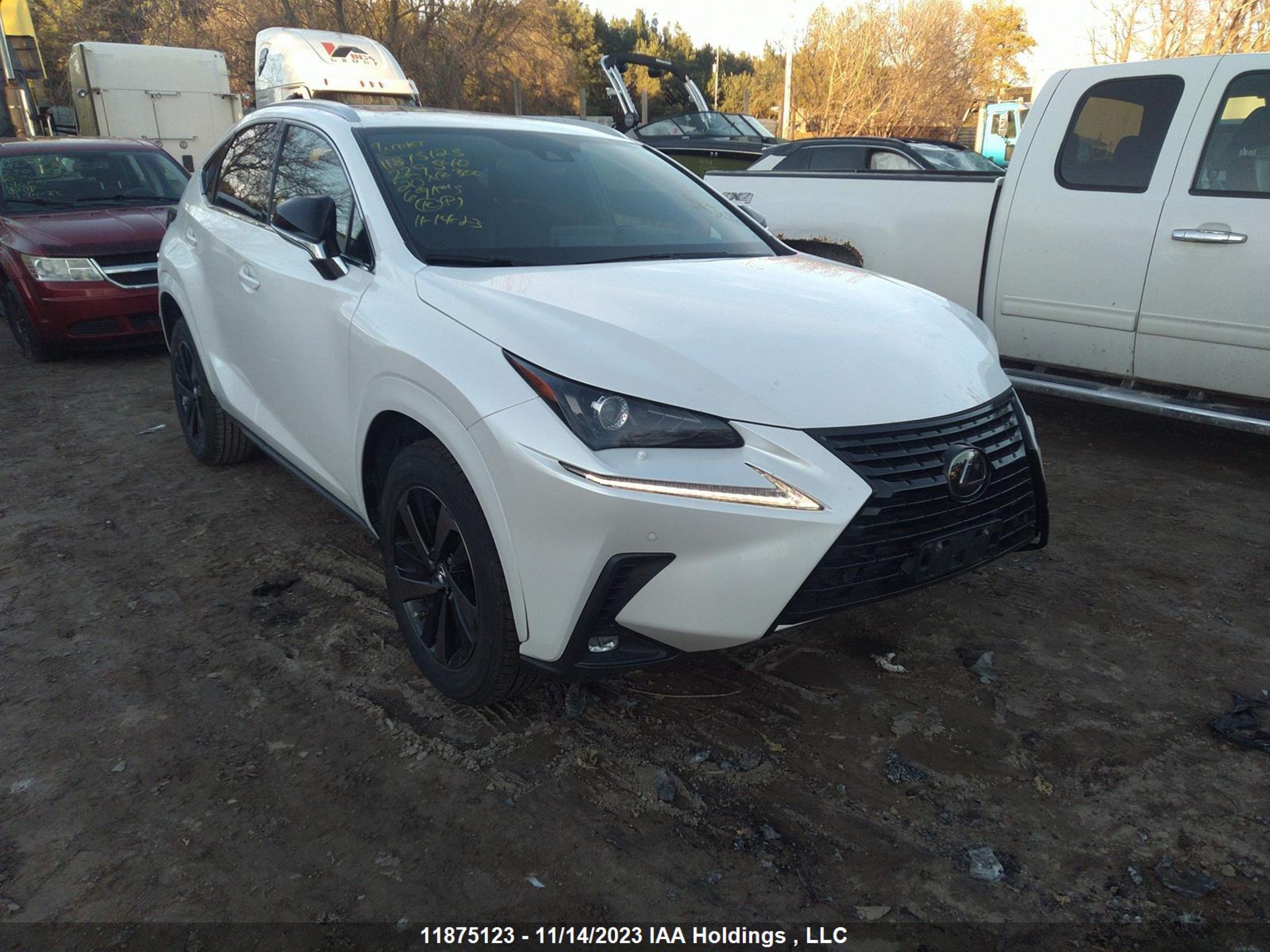 LEXUS NX 2020 jtjgardz4l2229540