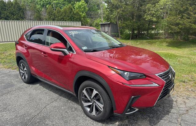 LEXUS NX 2020 jtjgardz4l5005666