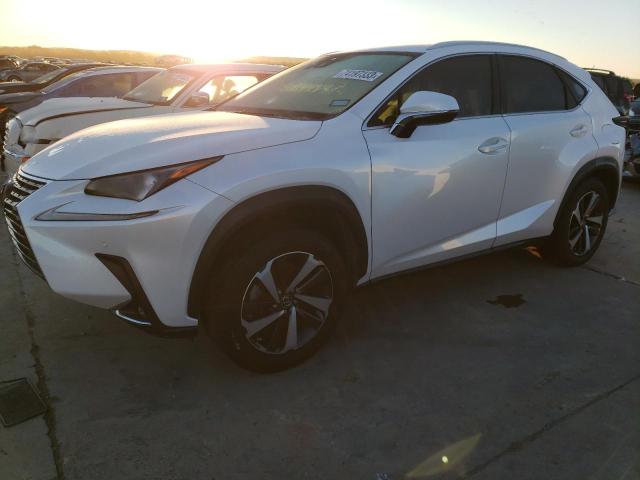 LEXUS NX 2021 jtjgardz4m5026020