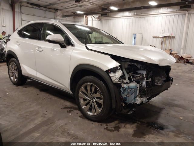 LEXUS NX 2020 jtjgardz5l2218448