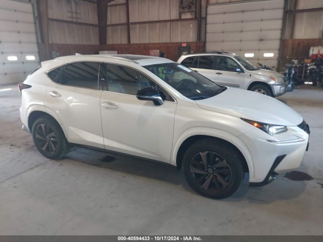 LEXUS NX 2020 jtjgardz6l2227837