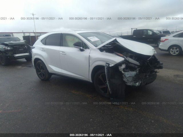 LEXUS NX 2020 jtjgardz6l2229636