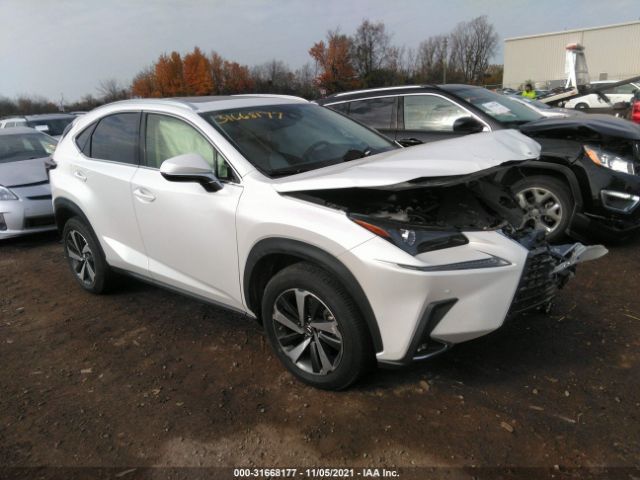 LEXUS NX 2020 jtjgardz6l5003417