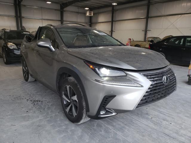 LEXUS NX 300 2020 jtjgardz6l5004762