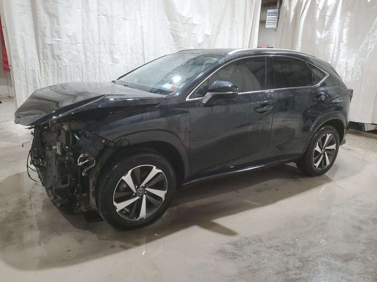 LEXUS NX 2020 jtjgardz6l5013655