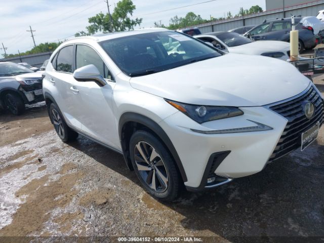 LEXUS NX 300 2020 jtjgardz6l5015664