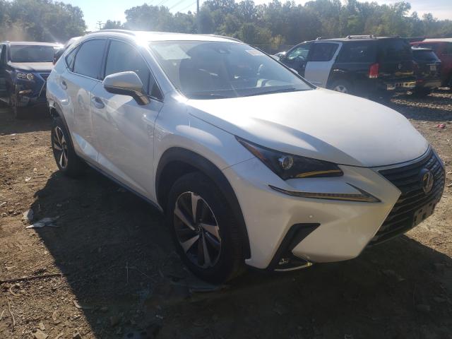 LEXUS NX 300 2020 jtjgardz6l5016412