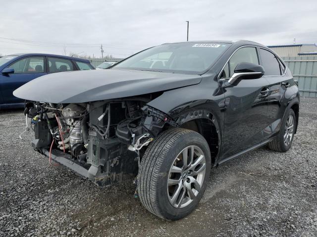 LEXUS NX 2020 jtjgardz6m2245370