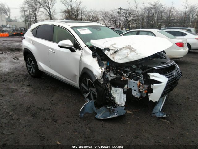 LEXUS NX 300 2021 jtjgardz6m5019635