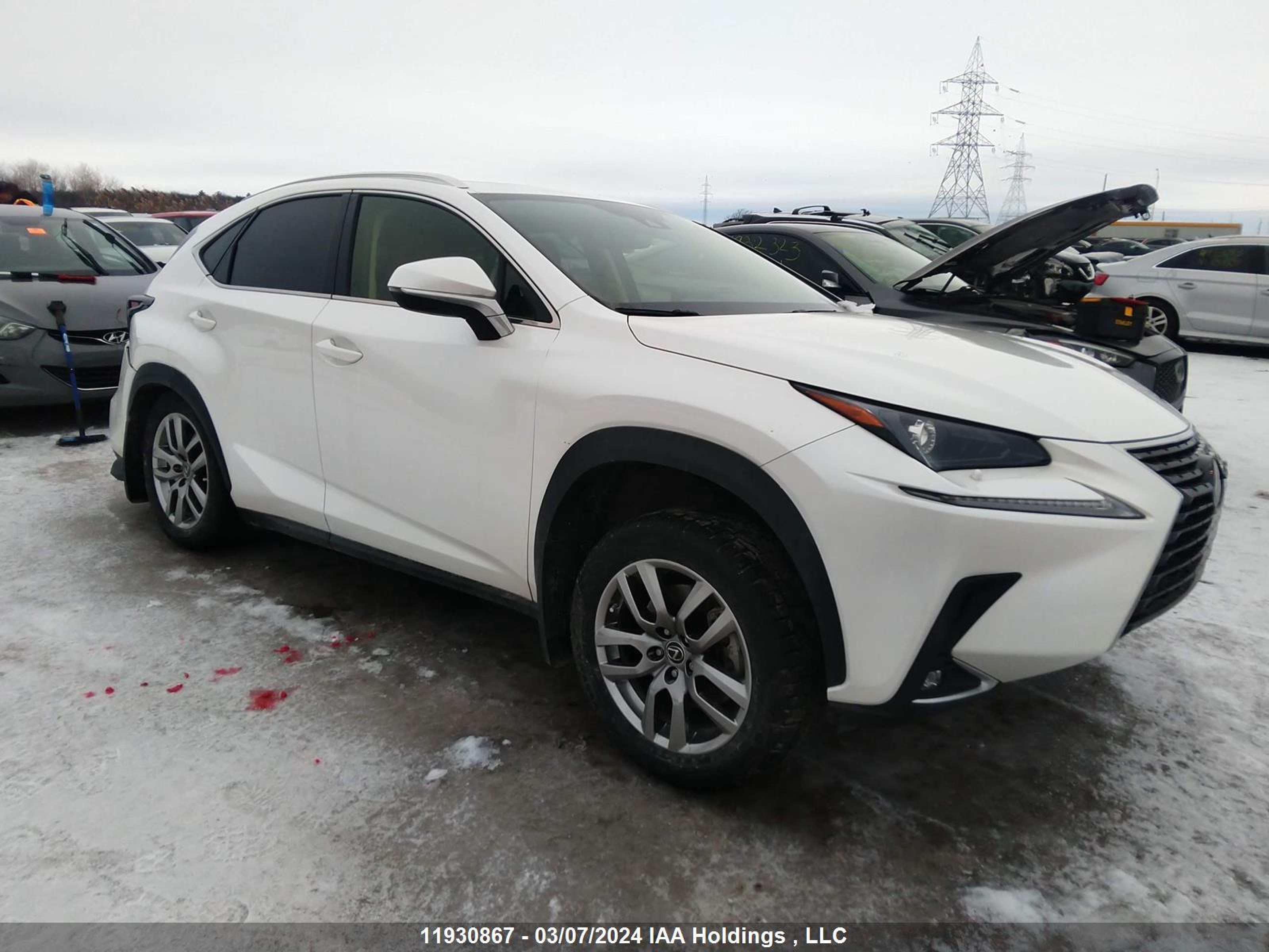 LEXUS NX 2021 jtjgardz6m5028058