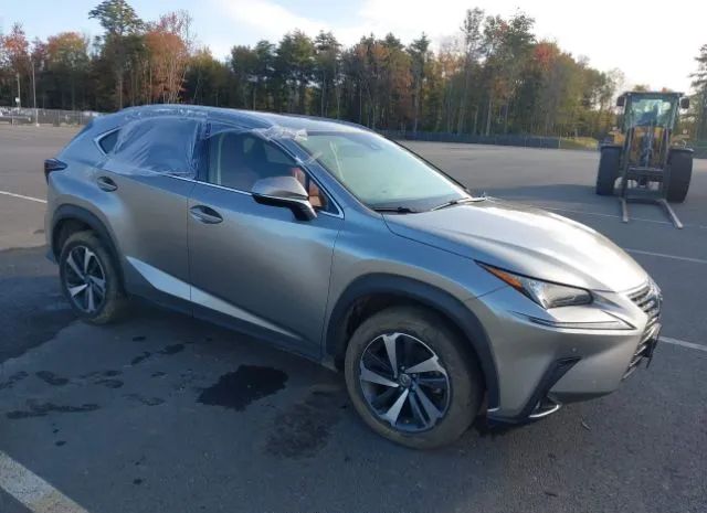 LEXUS NX 2020 jtjgardz7l2232772