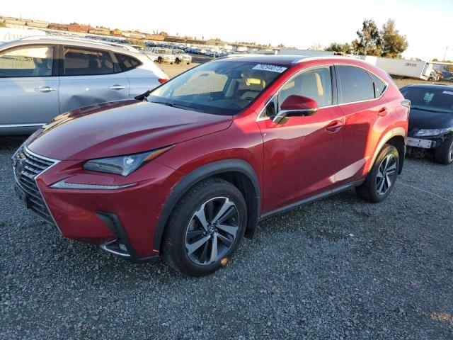 LEXUS NX 2019 jtjgardz7l5003961