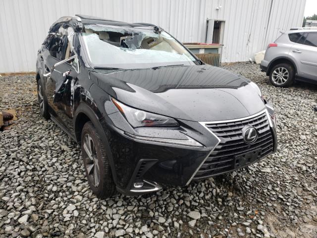 LEXUS NX 300 2020 jtjgardz7l5011302