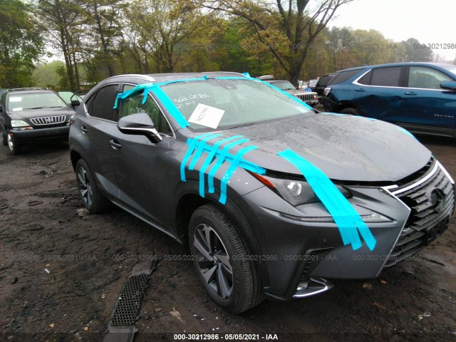 LEXUS NX 2021 jtjgardz7m2248049