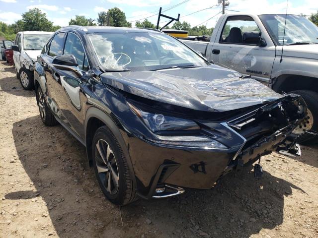 LEXUS NX 300 BAS 2021 jtjgardz7m2250366