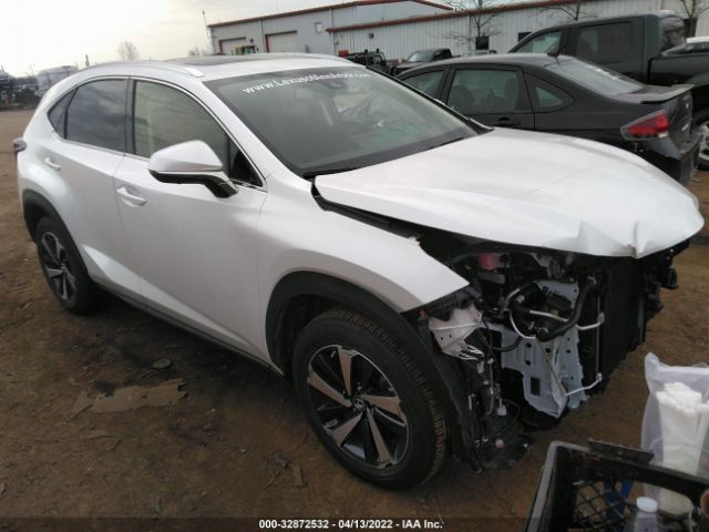 LEXUS NX 2021 jtjgardz7m5024424