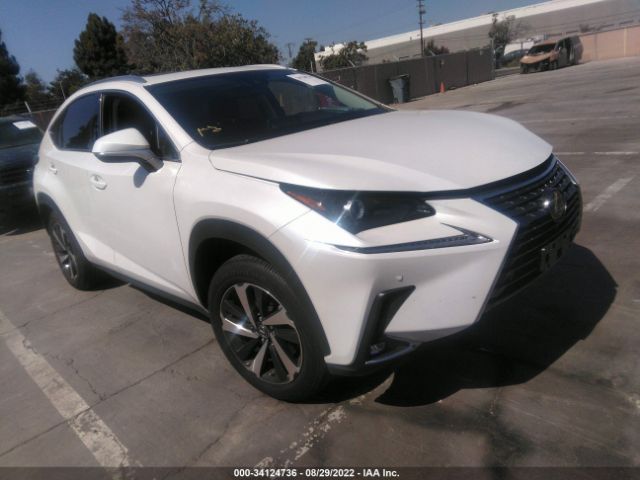 LEXUS NX 2021 jtjgardz7m5029574