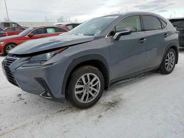 LEXUS NX 300 2020 jtjgardz8l5002172