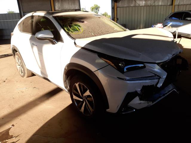 LEXUS NX 300 2020 jtjgardz8l5003709