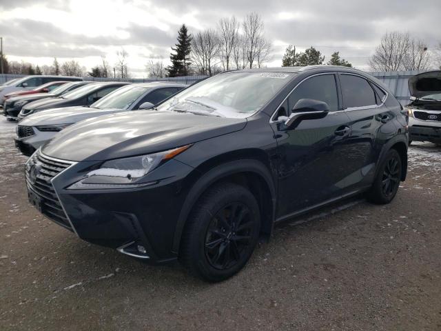 LEXUS NX 2021 jtjgardz8m2243376