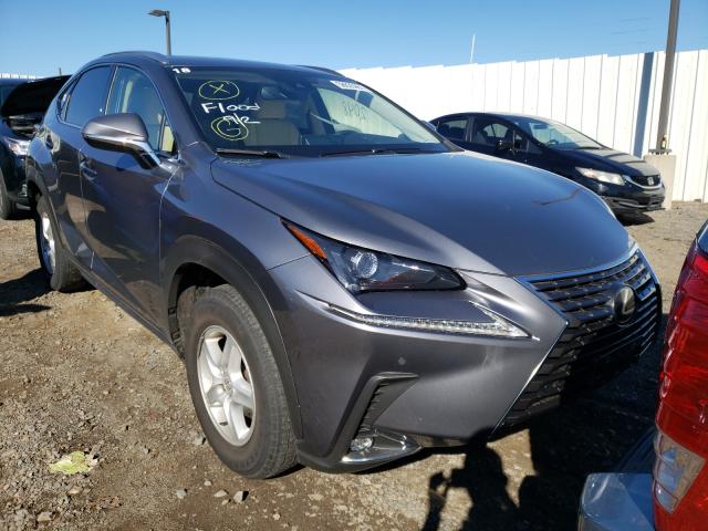 LEXUS NX 300 BAS 2021 jtjgardz8m2256015