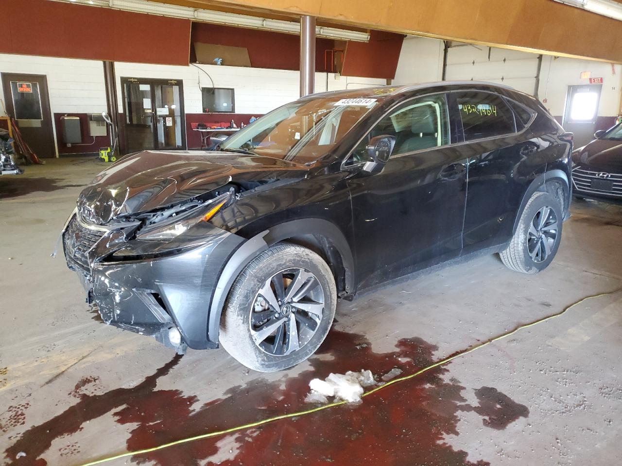 LEXUS NX 2020 jtjgardz9l2222759