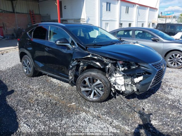 LEXUS NX 2020 jtjgardz9l5006795