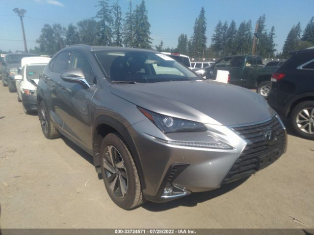 LEXUS NX 2020 jtjgardz9l5016405